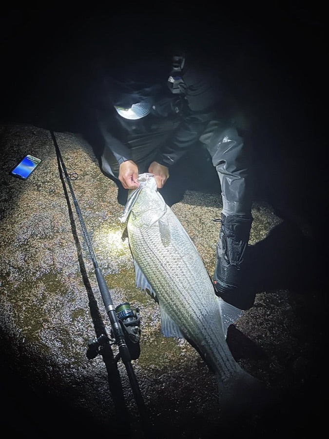 Angler lifting a striped bass at night on a rocky shoreline