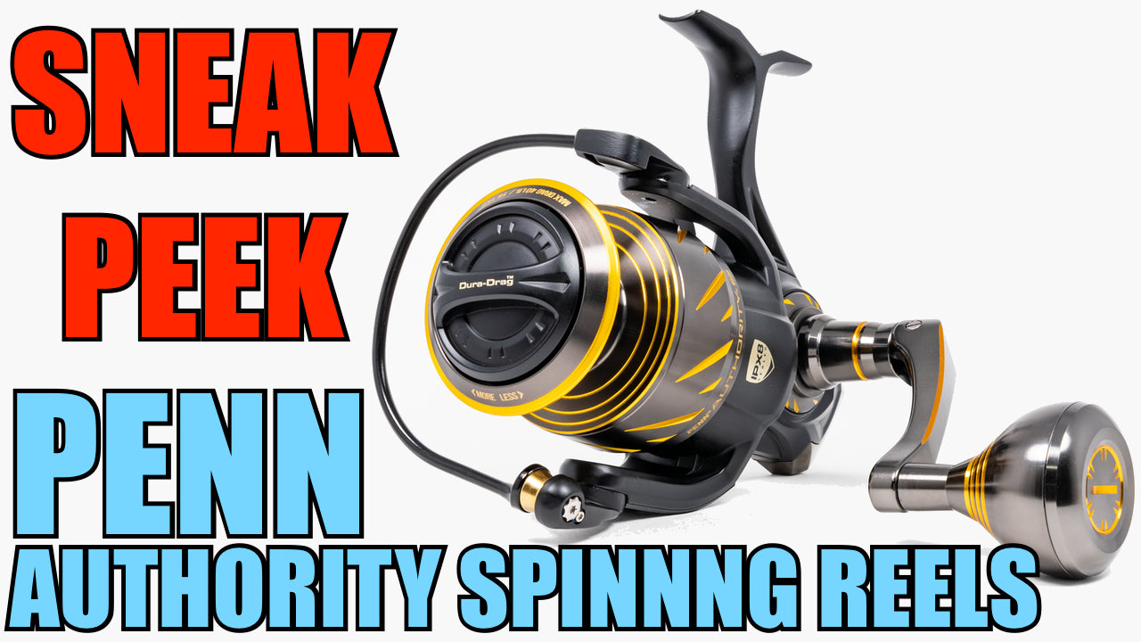 Sneak Peek: Penn Authority Spinning Reels - J&H Tackle