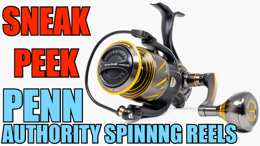 Penn Authority Fishing Reels