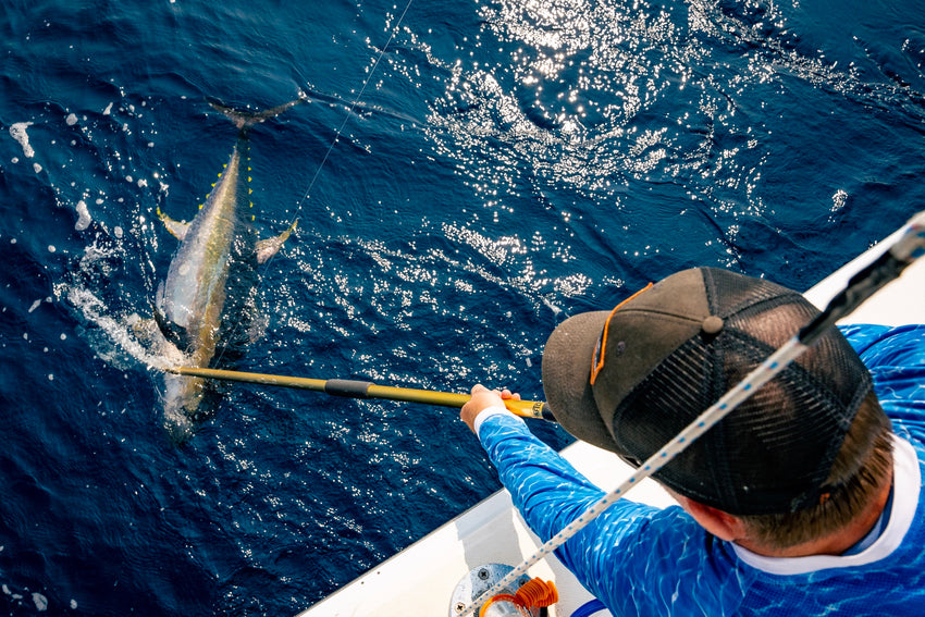 Expert Jigging Techniques for Bluefin and Yellowfin Tuna