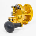 AVET-HXJ-5_2-MC-GOLD-1_