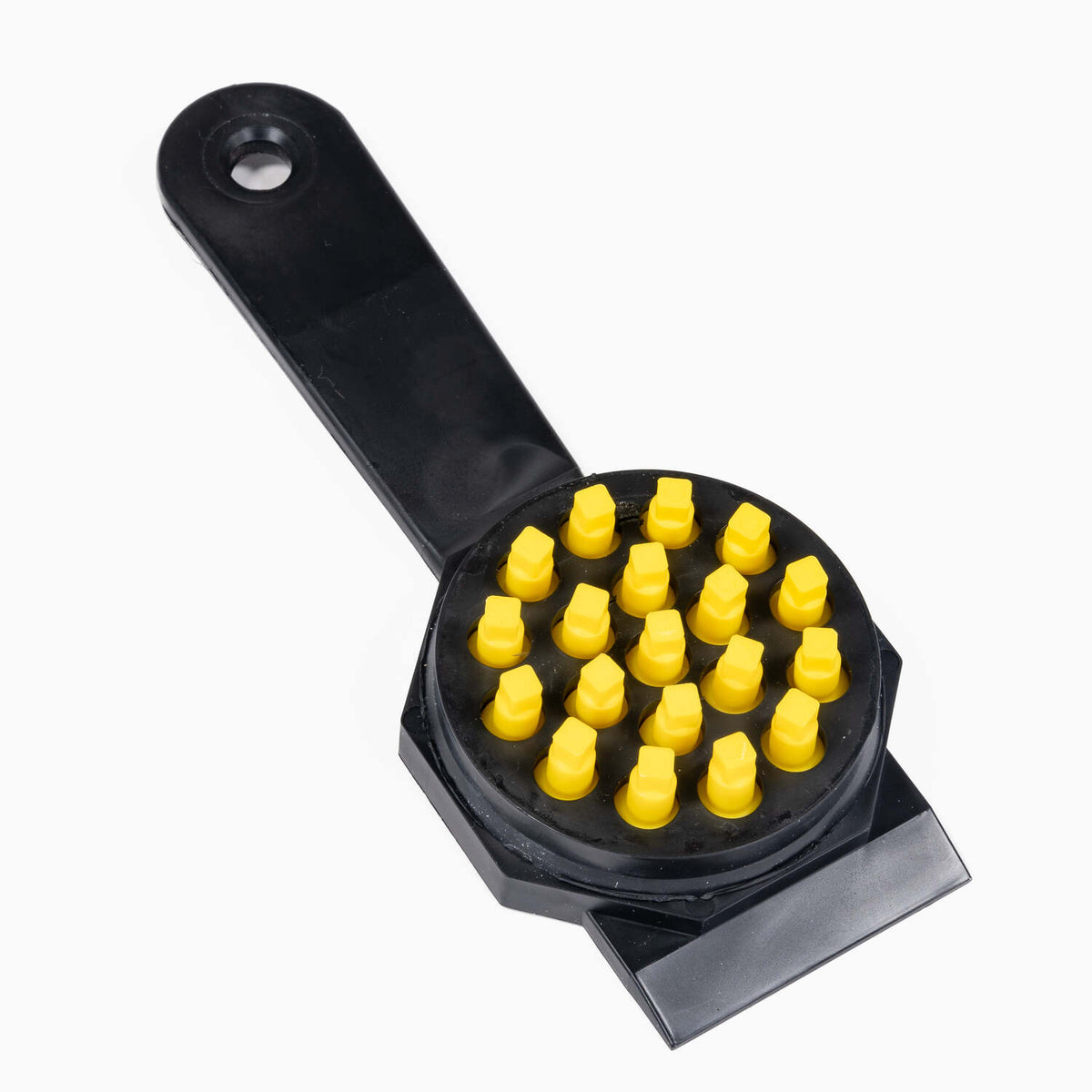 BIGNORMS-FISH-SCALER2063_1
