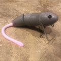 Bull-Shad-Bull-Rat_1