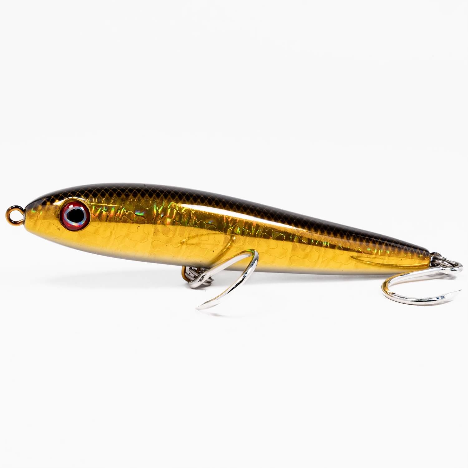 Dark Matter Feeder Minnow