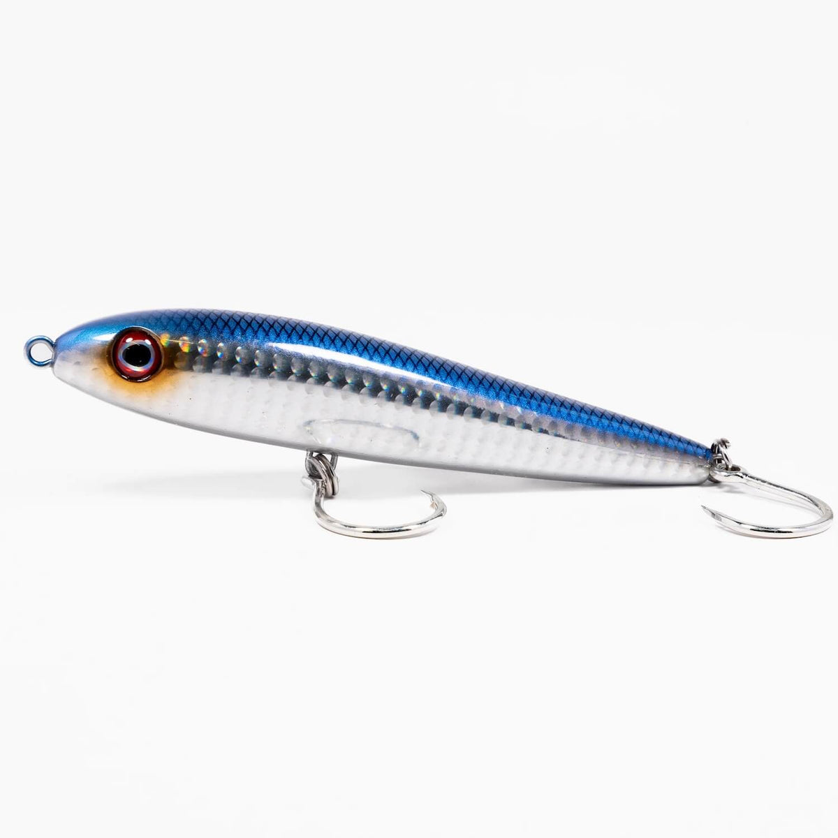 DarkMatterFeederMinnowMullet