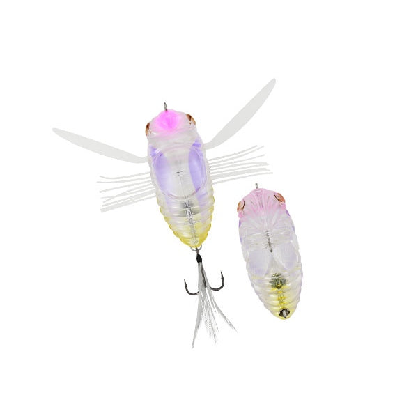 Duo Realis Dekashinmushi Cicada Bug