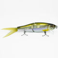 Fish-Arrow-Riser-Jack-Swimbait-Biwasagi1_1