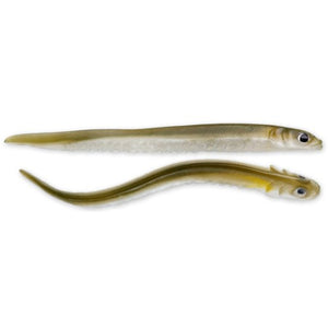 Hogy Sand Eels