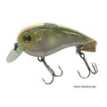 Imakatsu-Waddle-Bats-Crankbait-Hiviz-Alumina-Ayu_1
