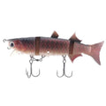 Kasumi_Design_Boracon_150_Red_Arowana