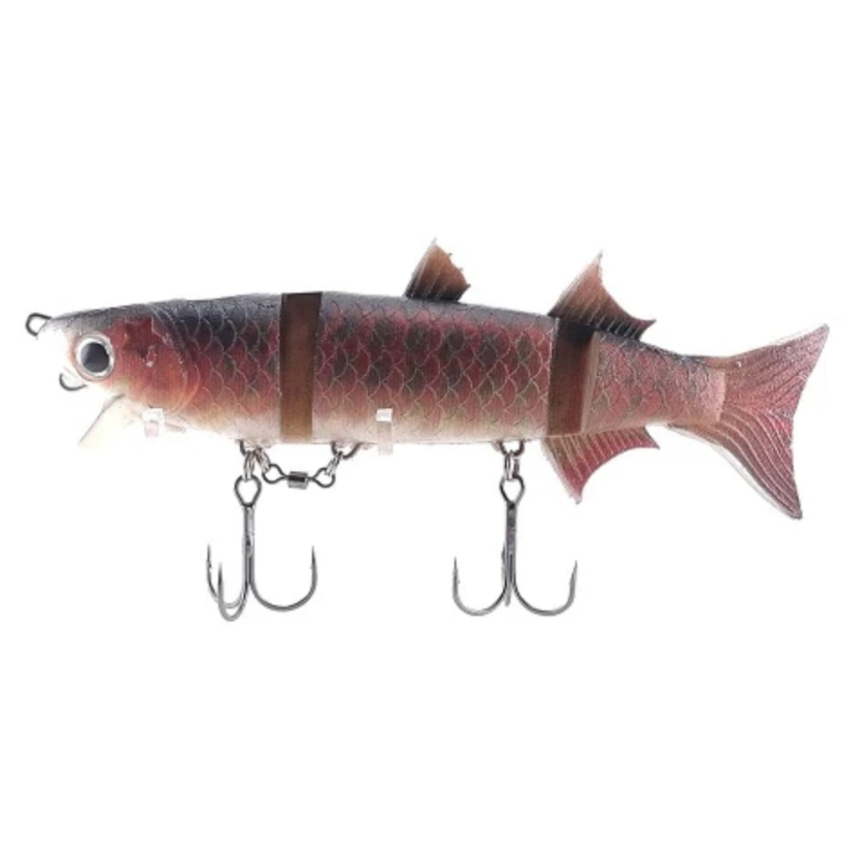 Kasumi_Design_Boracon_150_Red_Arowana