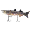 Kasumi_Design_Boracon_150_Tiger_Trout