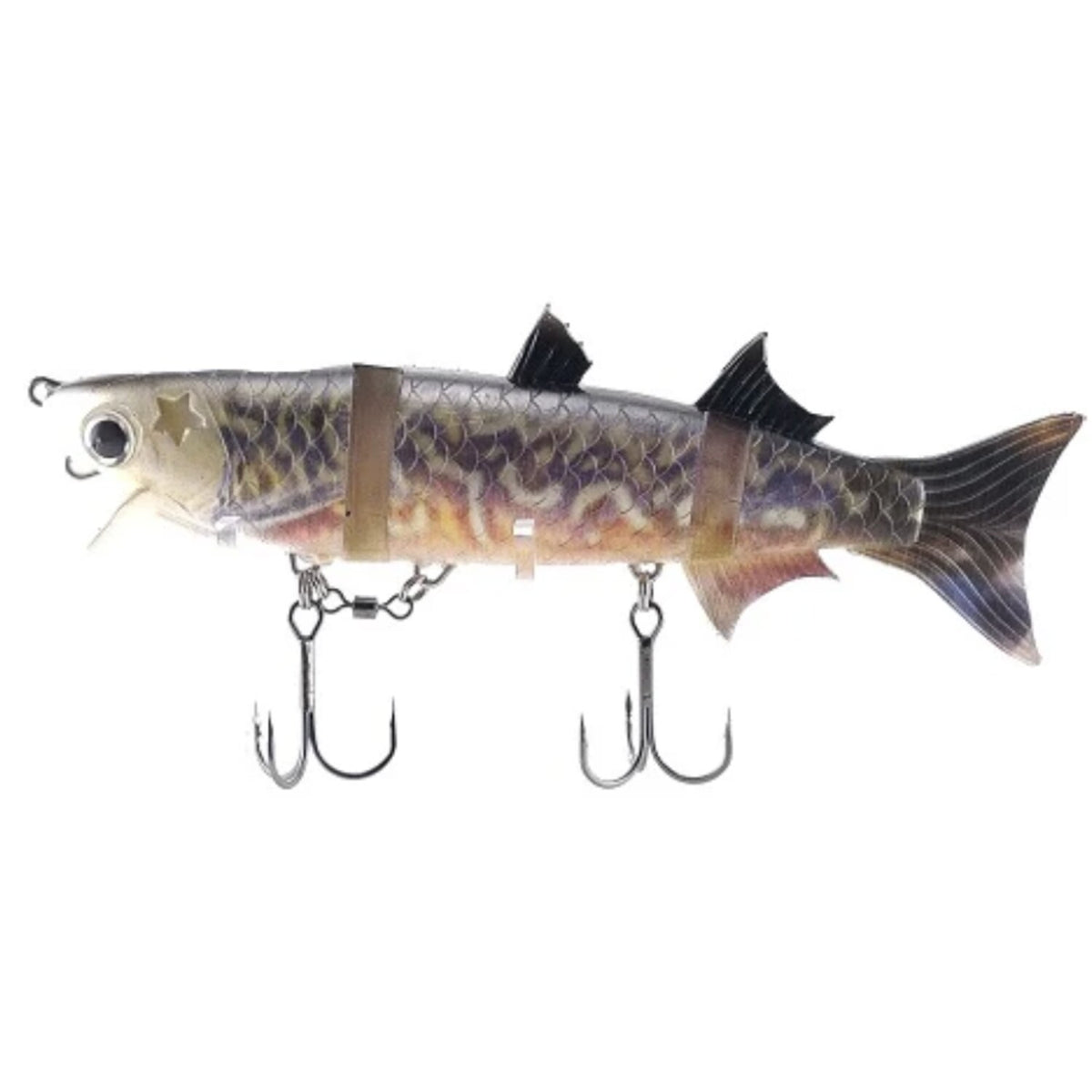 Kasumi_Design_Boracon_150_Tiger_Trout