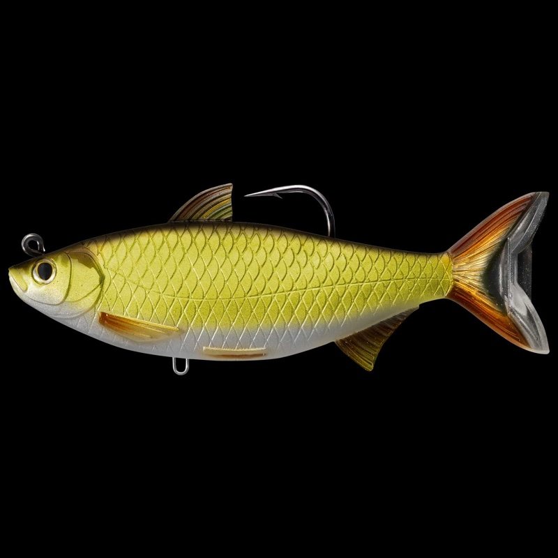 LIVETARGET-Golden-Shiner-Swimbait-Gold-Black.jpg