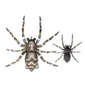 Lunkerhunt-Phantom-Spider-Dock_1