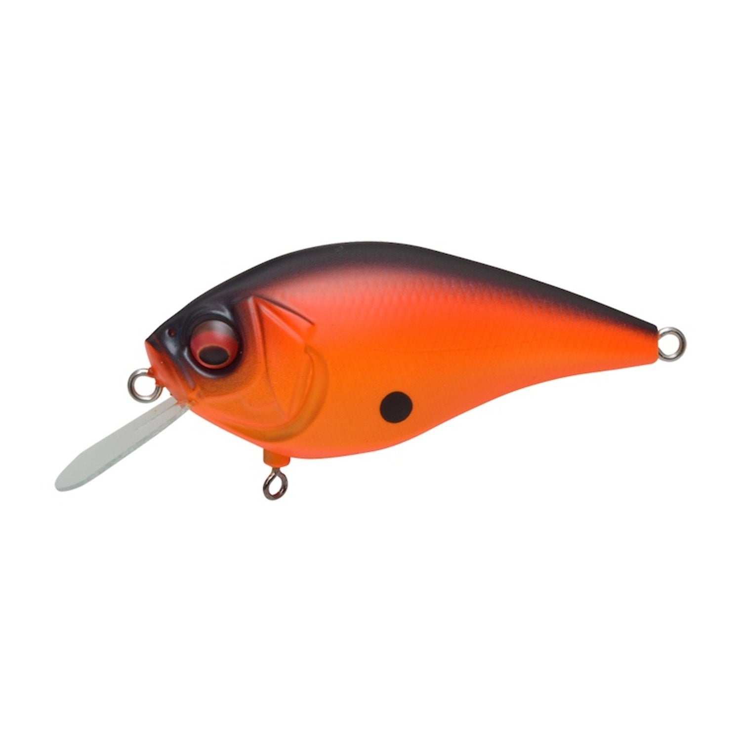 Megabass Knuckle LD Crankbait – J&H Tackle