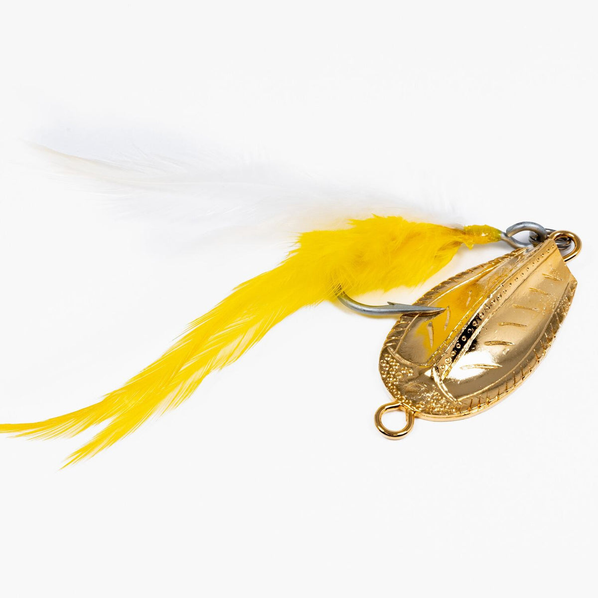 Point-Jude-Gold-Butterfish_1