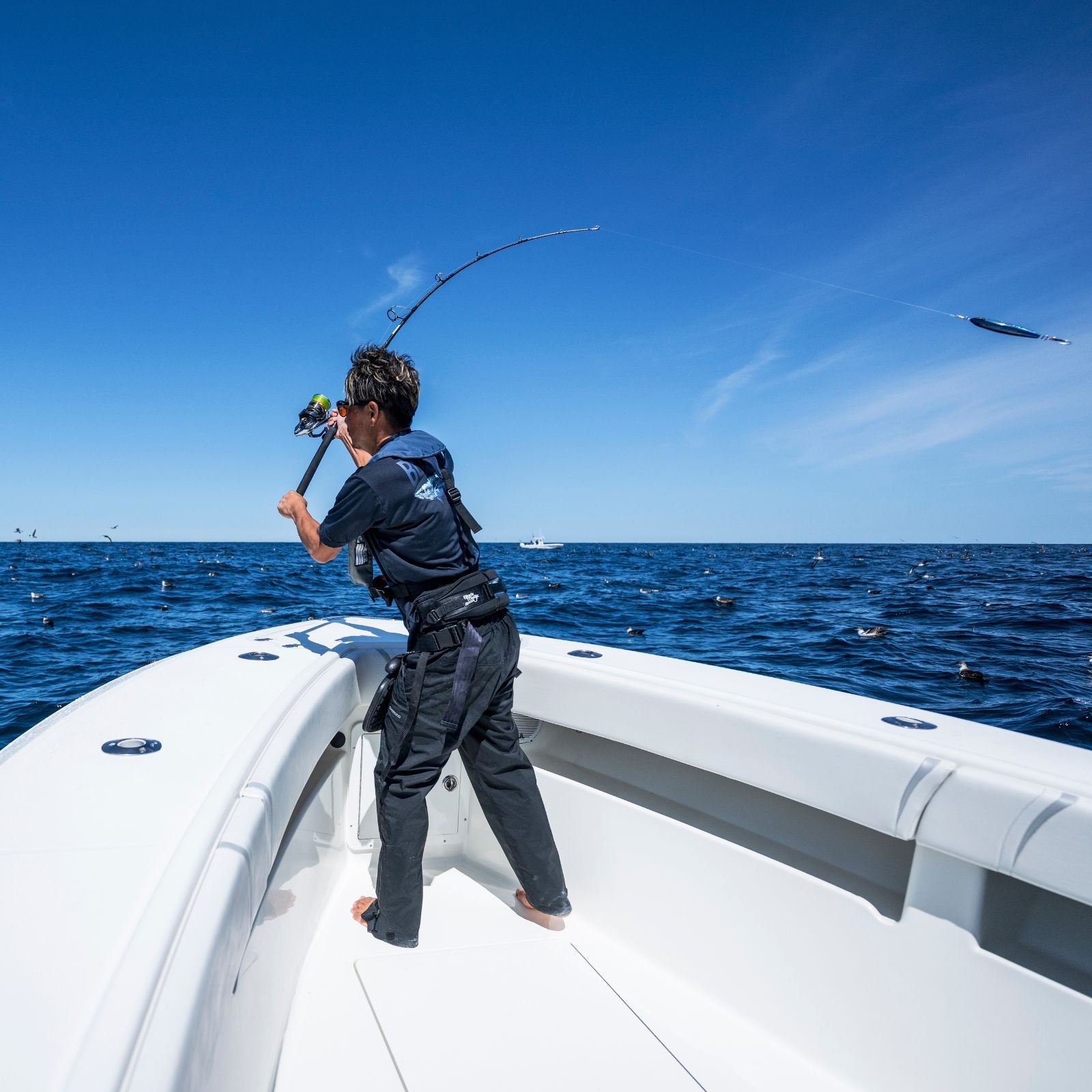 Shimano_Stella_SWD_Second_Banner_1600_x_1600_18e11349-f40f-4337-94d5-463407249cac