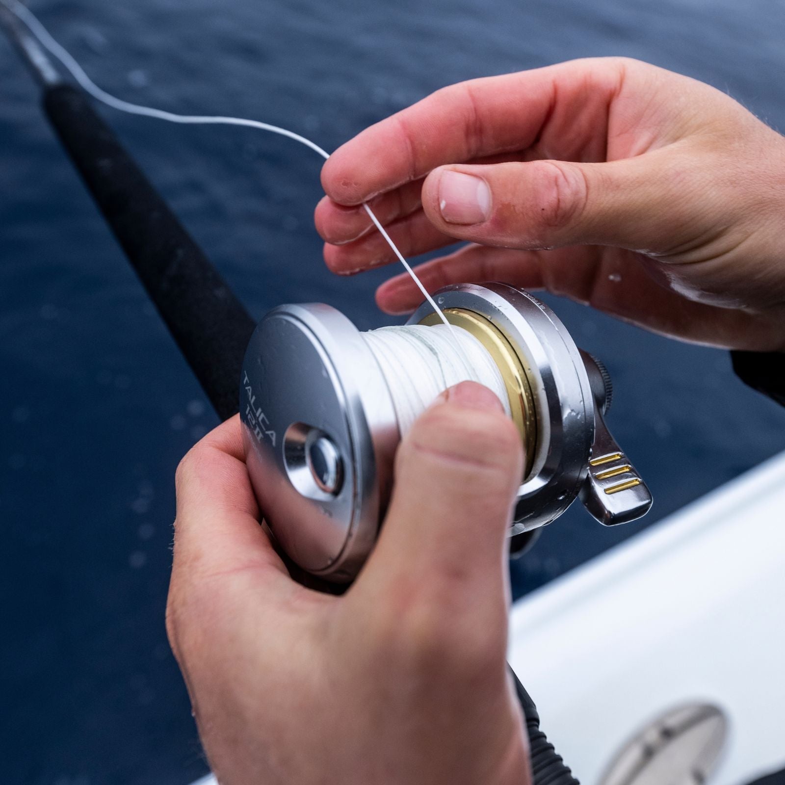 Shimano_Talica_12II_Second_Banner_Image_1600_x_1600_b72d371c-b291-4008-a094-63d5ee4b854d