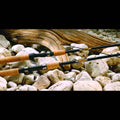 St-Croix-Triumph-Salmon-amp_-Steelhead-Spinning-Rods_BK