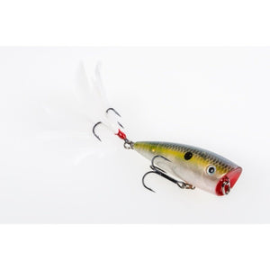Strike King KVD HC Splash Popper