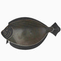 The-Doormat-DOORMAT-FLUKE_2