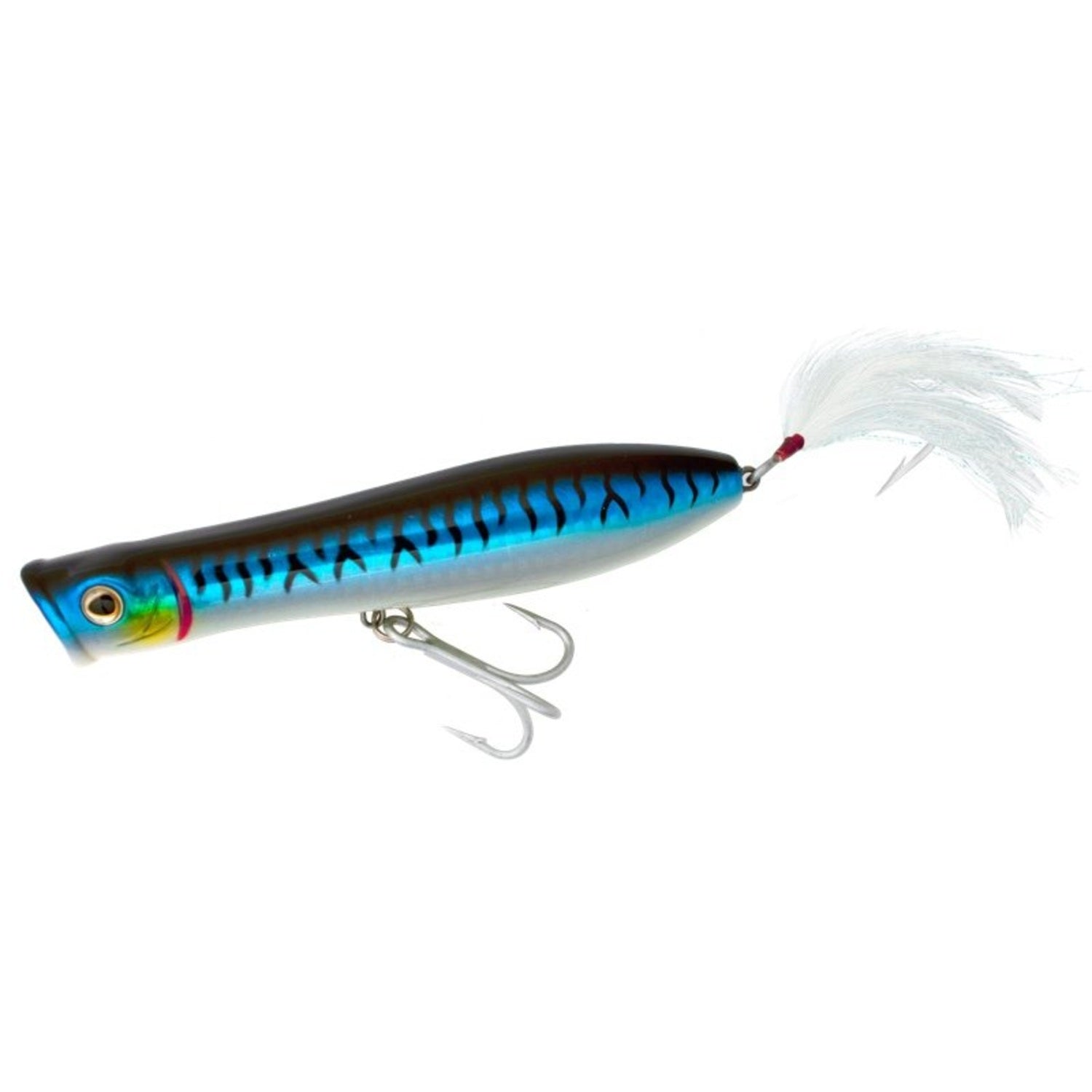 Tsunami Talkin Popper XD - J&H Tackle