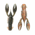 Z-Man-TRD-Crawz-Molting-Craw-TRDCR-324PK6_1