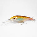 dtx-minnow-DTX145-F-NBNK_1