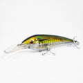 dtx-minnow-DTX145-F-OBS_1