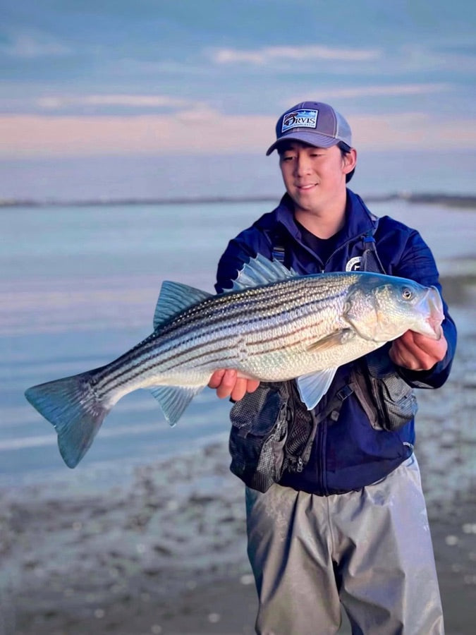Angler holding a striped bass on the beach at dusk