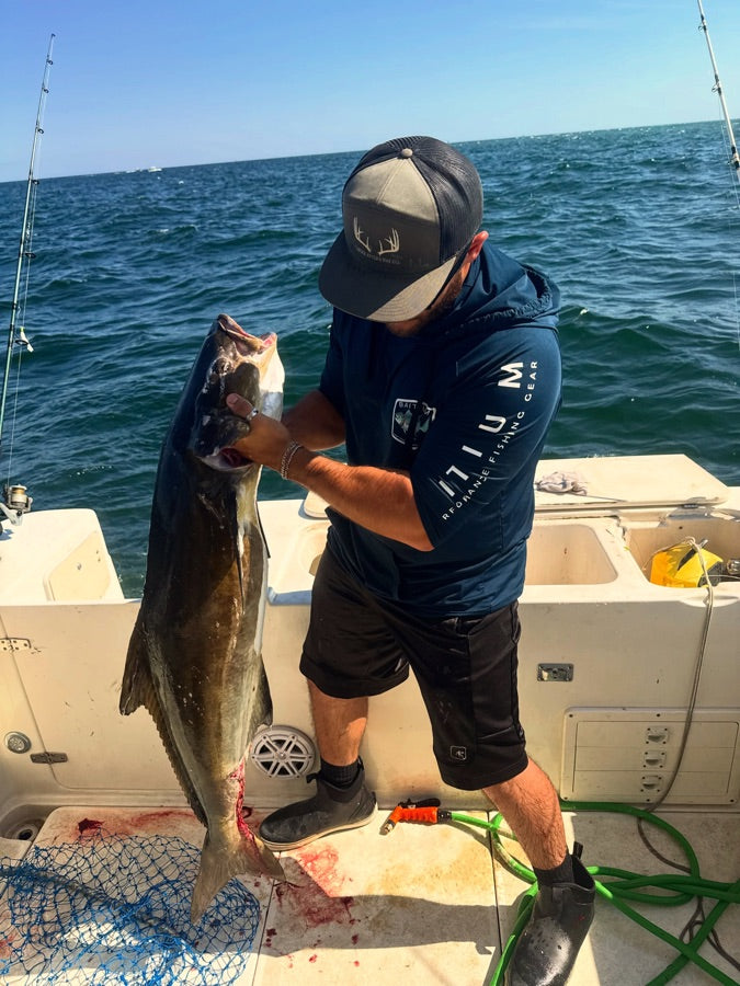 Angler holding a cobia on the back deck of a boat
